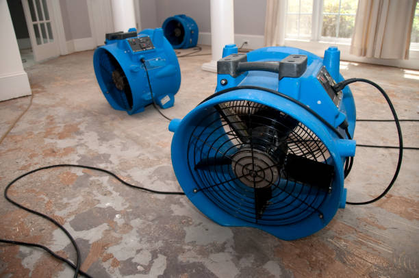 Best Water damage restoration cost  in USA